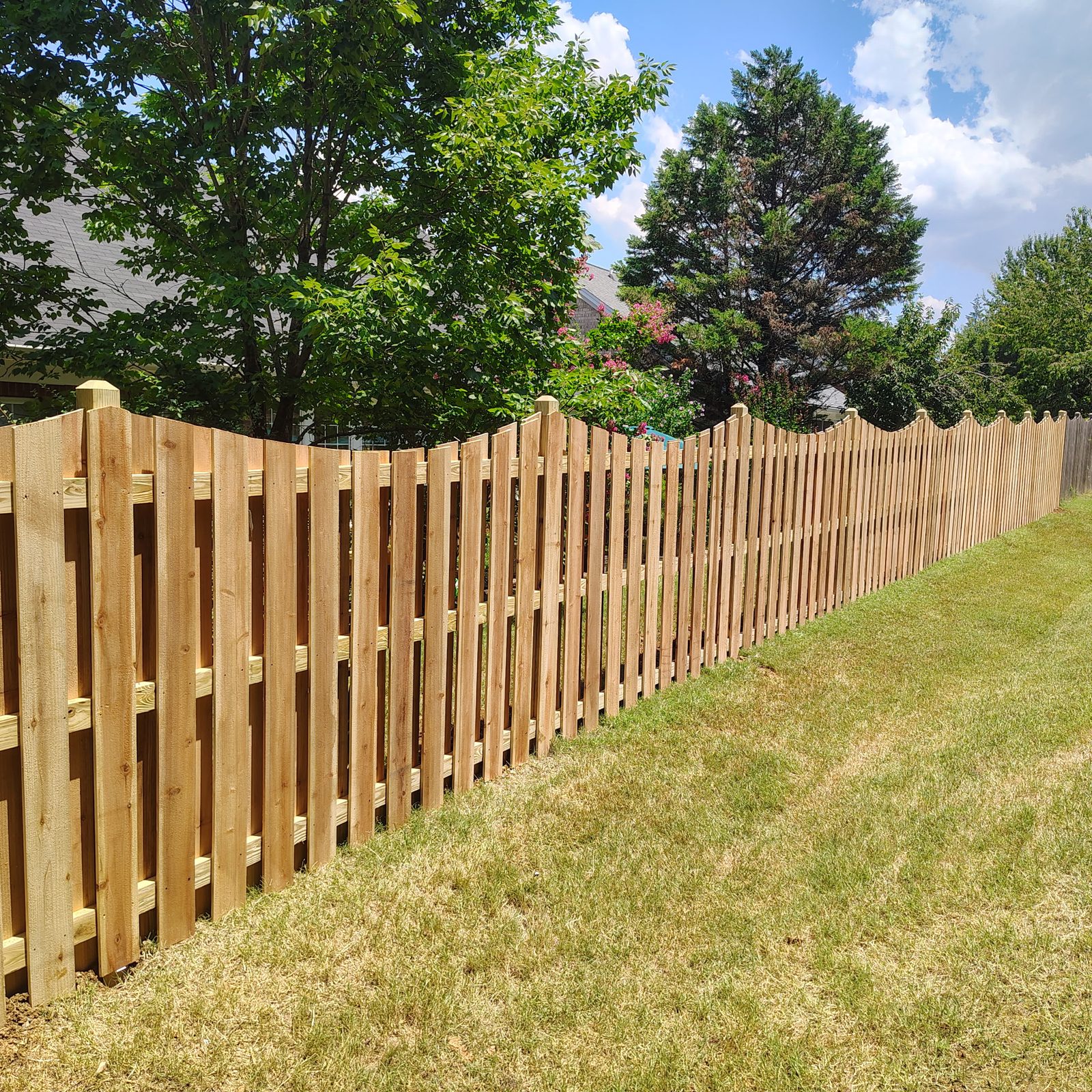 Scalloped-top shadowbox fence